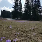 Smiechowka منزل للإقامة