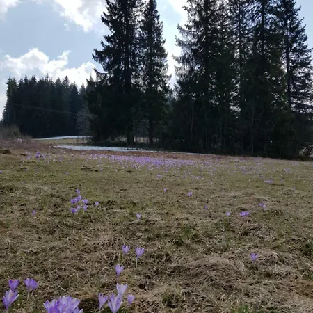 Smiechowka Homestay szállás