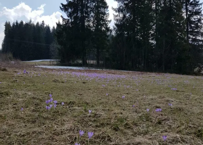 Smiechowka Alloggio in famiglia